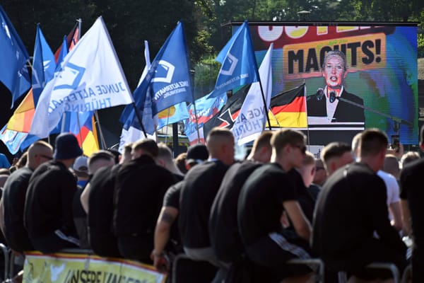 Germany’s Fragile Political Firewall