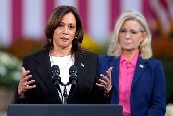 Kamala’s Vengeful Neoliberalism