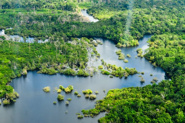 Green Neocolonialism Is Killing Brazil